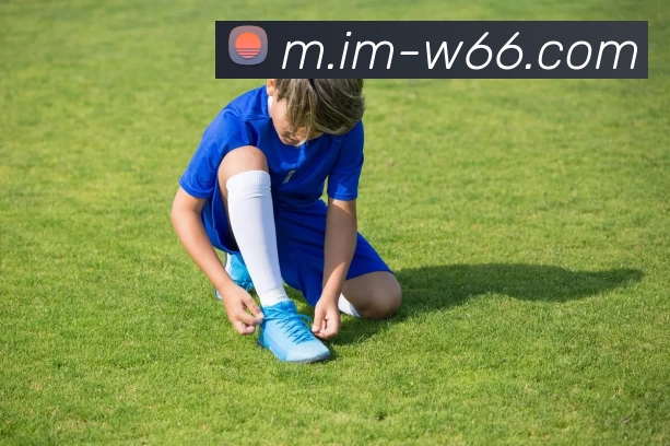 利来国际平台生态图